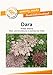 Produktbild Blumensamen Dara Wilde Möhre Portion