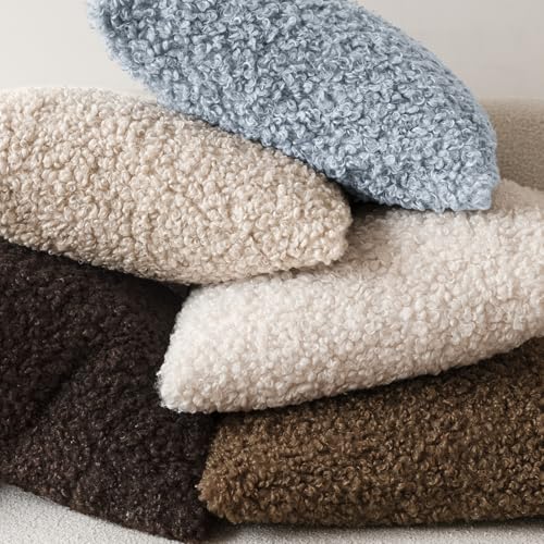 Image of Foindtower Set of 2 Curly Teddy Wool Pillow Covers Decorative Boucle Textured Lumbar Throw Pillow Faux Fur Sherpa Pillowcases Sheepskin Fuzzy Cushion Case for Sofa Bedroom Car 12 inchx20 inch Misty Blue