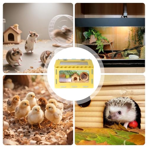 Couveuse pour poulets : solution de boîte d'élevage pour les débutants - 6