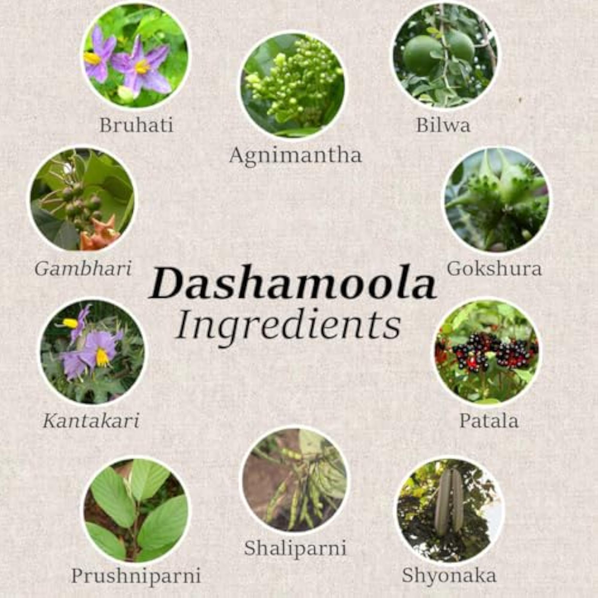 Dashamoola Powder 227g