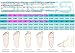 SINOES Zapatos de Senderismo para Mujer Zapatillas de Escalada Calzado de Ante...