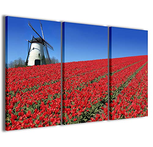 Stampe su Tela, olanda amsterdam Quadri Moderni in...