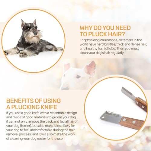 Trimmmesser Set für Hunde & Katzen – 2-teiliges Fellpflege Werkzeug mit Feiner & Grober Zahnung – Entfernt Unterwolle effektiv – Für Langhaar & Kurzhaar – Mit ergonomischem Holzgriff