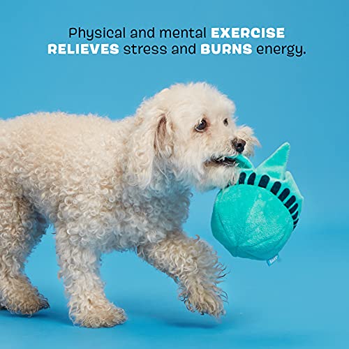 barkbox liberty ball