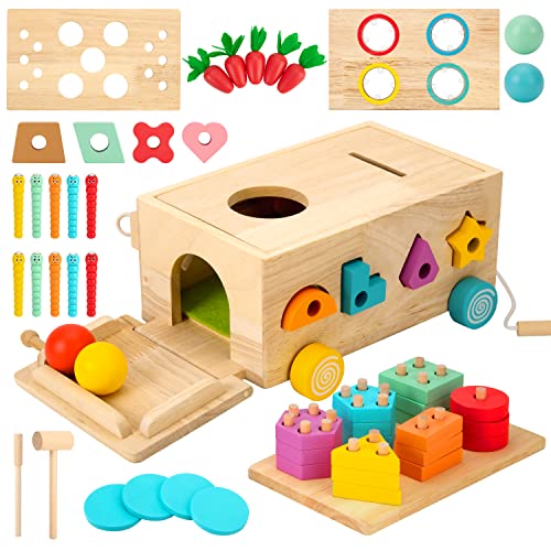 Image of Woodtoe 9 in 1 Wooden Montessori Toys for Toddlers - Object Permanence Box, Wooden Play Kit for Kids, Coin Box Shape Sorter, Educational Wooden Learning Toys, Birthday Gift for Babies Boys Girls