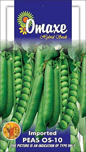Omaxe Seeds Peas Imported OS 10 Vegetable seeds Pack of 2 Kitchen Garden Packet (B07MFZ3TC4) Amazon Price History, Amazon Price Tracker