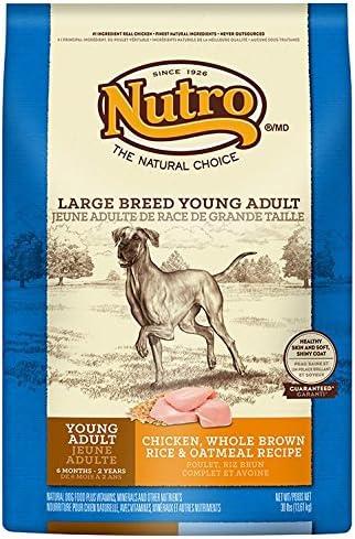 nutro chicken large breed