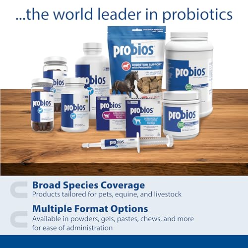 Probios Horse Probiotic Soft Chews, Apple Flavor, 1.32 lb | Gut health, Digestive support, Immune health, Apple flavor - Image 8