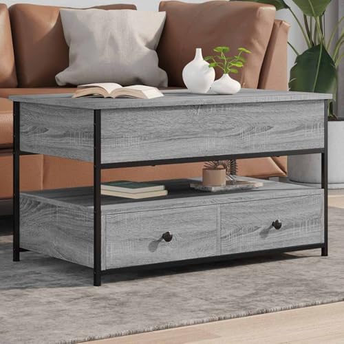 QZZCED Mesa de Centro con Tablero Elevable y Cajones | Madera de Ingeniería Resistente a la Humedad | Estructura Metálica Robusta | 4 Patas Ajustables para Suelo Irregular | Amplio