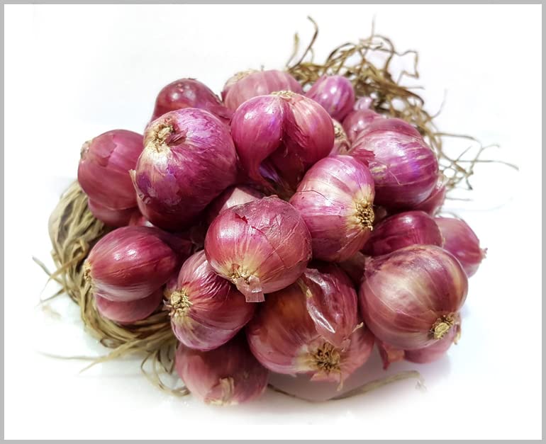 Sambar Onion/Small Onion Pink Traditional Seeds (Pack of 100+ Seeds) - Ourseeds (B0BPPWCDT1) Amazon Price History, Amazon Price Tracker
