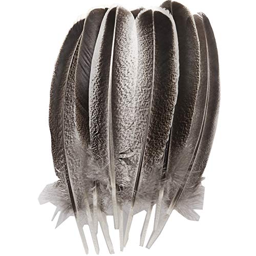 WAKEACE Turkey Feathers 10 Pieces Natural Color Discount Wholesale DIY Decoration Collection Purification Energy Feathers