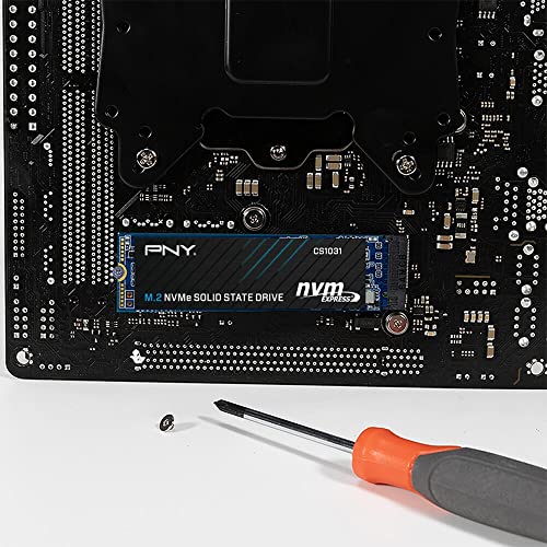 Image of ピーエヌワイ(PNY) PNW CS1031 1TB SSD M.2 2280 NVMe M280CS1031-1TB-CL HD3745
