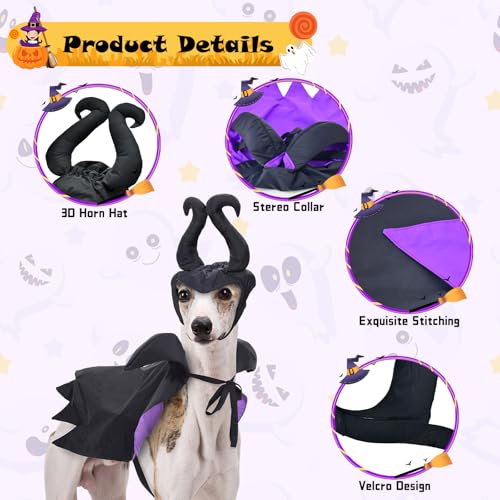Disfraz de Bruja para Perro y Gato Halloween Talla Única miniatura 5
