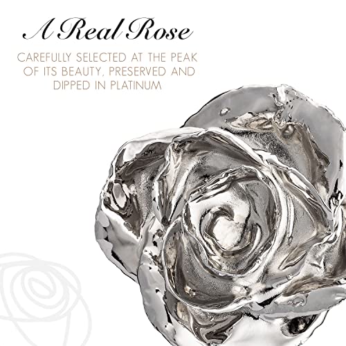 Image of Forever Rose Two Real Roses Dipped in Platinum, Acrylic Heart Vase