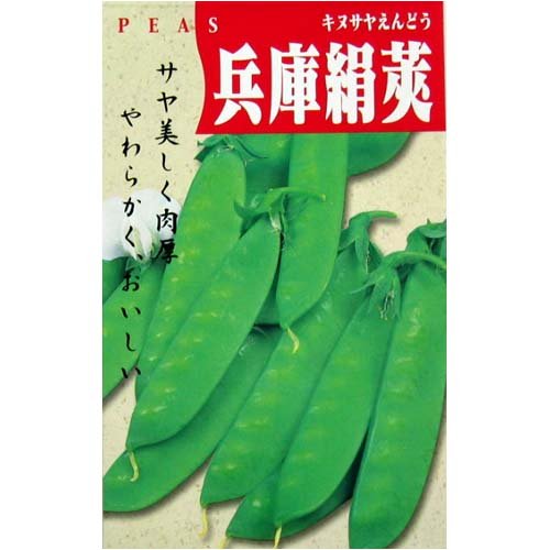 廃盤品 ジェリーキャット Pea in a Pod えんどう豆のさや 廃盤品 ジェリーキャット Pea in a Pod えんどう豆のさや