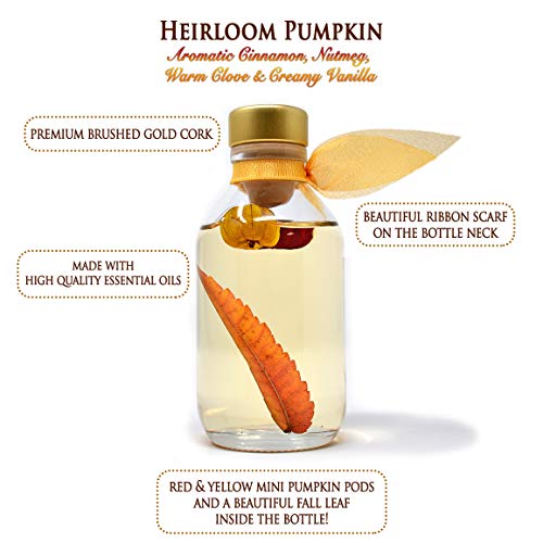 LOVSPA Reed Diffuser Set, Heirloom Pumpkin Scented Oil Diffuser with Sticks, Home Fragrance Accessories for Bathroom Shelf Decor, Aroma Diffusers for Home or Office Fall Decor, USA Made by LOVSPA - Image 2