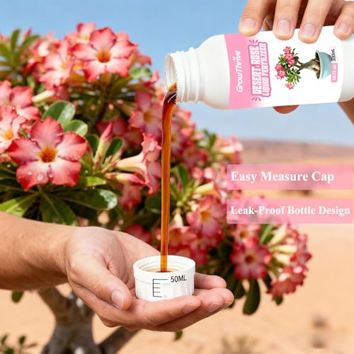 Fertilizante Líquido Desert Rose 300 ml miniatura 4