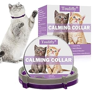 Toulifly Beruhigendes Katzenhalsband 2 Pack