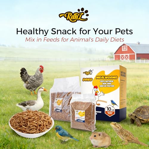 RANZ 2LBS Non-GMO Dried Mealworms for Chickens, High Protein Meal Worms, Premium Chicken Feed, Whole Large Mealworms for Blue Birds, Ducks, Fish - Thumbnail 7