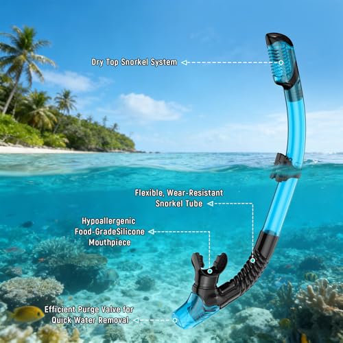 Equipo de snorkel para adultos, máscara de buceo con vidrio templado, snorkel con tapa seca, falda de silicona ajustable, tamaño mediano grande, antiempañante y a prueba de fugas, con bolsa de malla miniatura 4