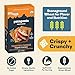 Patagonia Provisions Organic Toasted Cheeze Crackers – 3g Plant Protein Per Serving – Made with Wheat Flour & Sea Salt – Non-GMO, No Added Sugar - Crispy & Crunchy