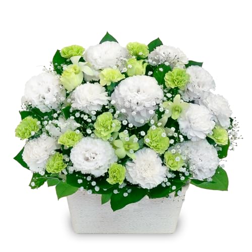 Ě݂ ԃL[sbg   @v @    ~ ފ ~V~ l\  ̃AWg yr00-524306