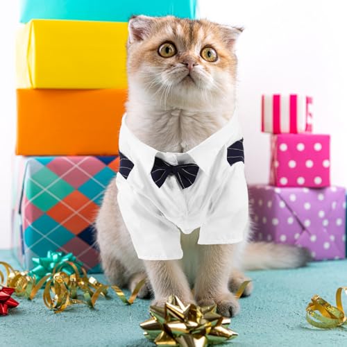 Traje de boda para perro POPETPOP talla L color navy miniatura 4