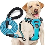 No Pull Dog Harness Adjustable Reflective Oxford Easy Control Medium Large Dog Harness with A Free Heavy Duty 5ft Dog Leash (L (Neck: 18"-25.5", Chest: 24.5"-33"), Blue Harness+Leash)
