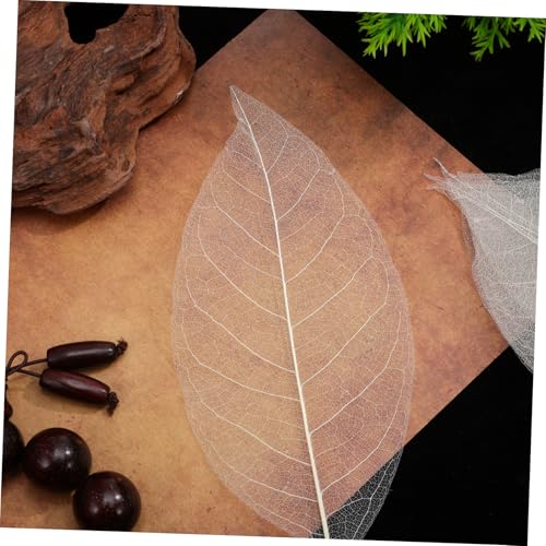 UKCOCO 100 hojas naturales para manualidades en forma de corazón miniatura 6