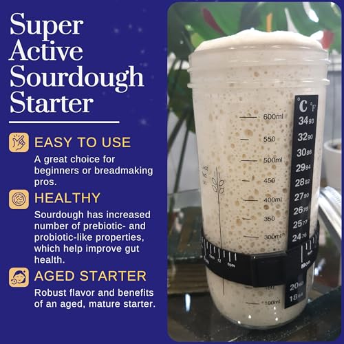 Image of Mature Sourdough Starter Culture - 100+ Years Old Dehydrated Sourdough Starter Kit for Delicious Homemade Sourdough Bread - All-Natural and Healthy - Beginner Friendly, Fast reactivation and Expert Support