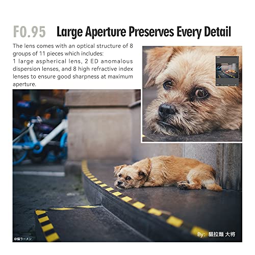 Lente manual TTArtisan 50mm F0.95 para Leica M - Fernando Cortés