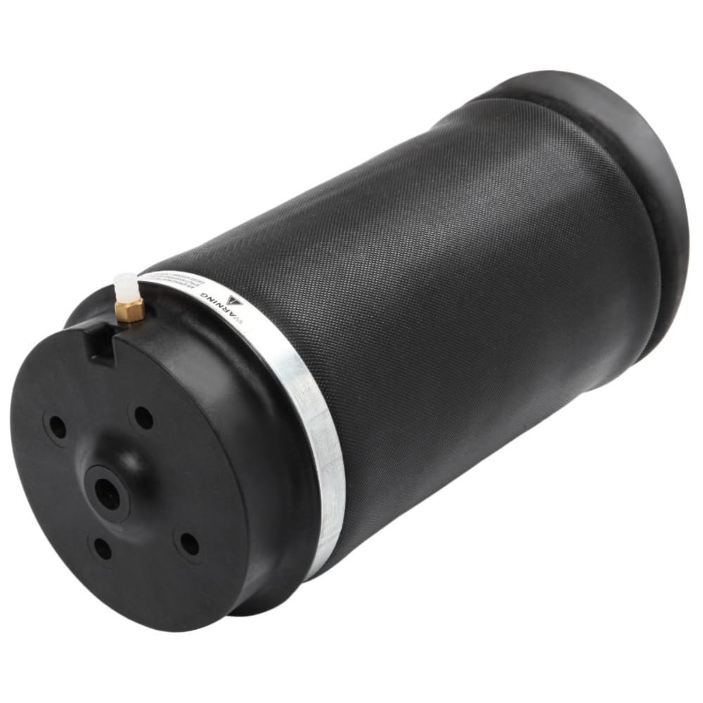 Amazon.com: QSKCBXVL Air Suspension Shock Absorber Strut Rear Left 