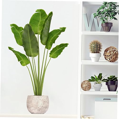 Papier peint auto-adhésif décor de la chambre plantes - 6