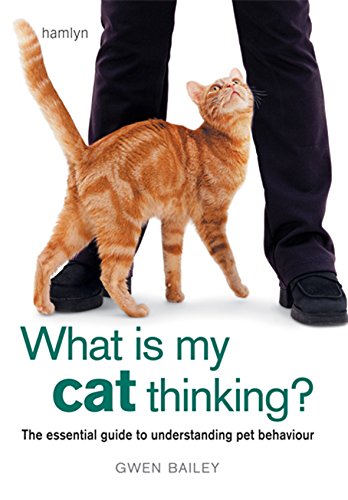What is my Cat Thinking?: The essential guide to understanding your pet