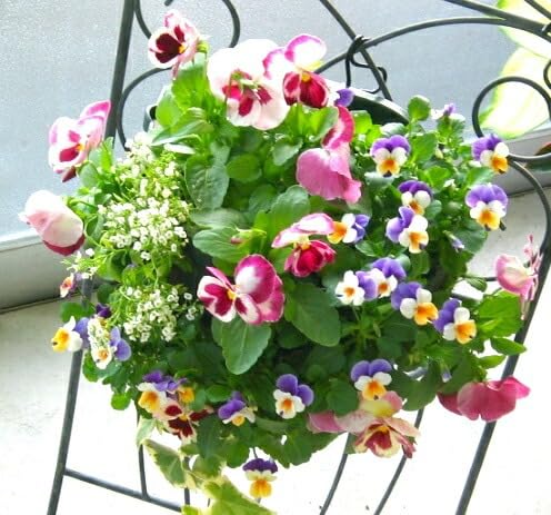 rĨnMOoXPbg Ԃ 񂹐A [s[`] MTCY Vv |  t[Mtg a v[g     Vzj A  K[fjO t[ O Mtg A   蕨 Zbg c