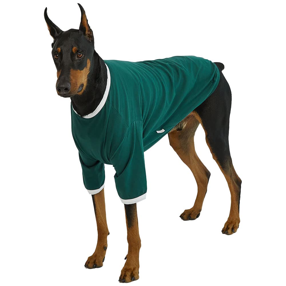 Chemise pour chien idéale pour les balades estivales en famille