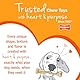 Nylabone Bacon Bone Dog Chew Souper