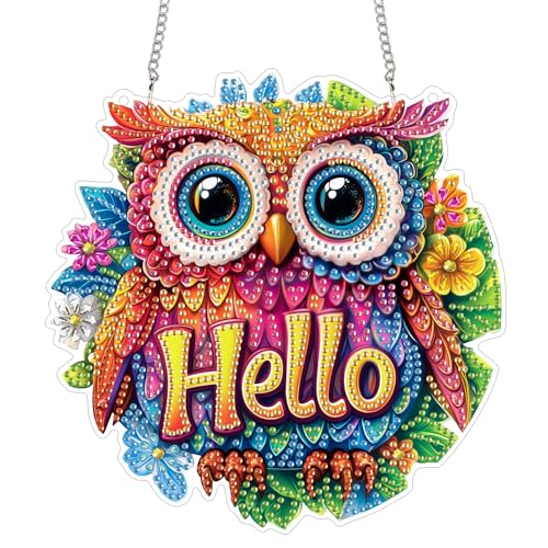 Reofrey Diamond Painting pendente duplo acrílico com corrente corujas, 20 x 20 cm pintura de diamante pendente, conjunto de suporte de vidro para ornaments coroa alpendre suspenso de parede e presente