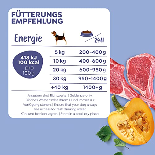 WOW Hundefutter nass Adult mit Lamm, 6X 800g I reichhaltiges Nassfutter für ausgewachsene Hunde Aller Rassen I Beste Qualität mit viel Fleisch, Kürbis & Brennnessel I hohe Akzeptanz & Verträglichkeit