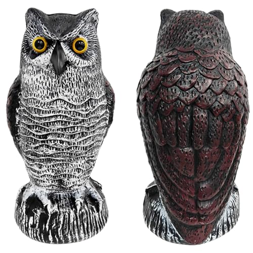 SakuraLovely8 悯 tNE u  co悯 Op Q΍