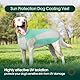 Kuoser Kühlweste Hund, L Hundekühlweste Sommer, UV-Schutz Shirt, Atmungsaktive Kühljacke, Leichte Sonnenschutz-Bekleidung, Insektenschutz für Outdoor, Must-Have für heiße Tage, Blau