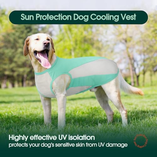 Kuoser Kühlweste Hund, L Hundekühlweste Sommer, UV-Schutz Shirt, Atmungsaktive Kühljacke, Leichte Sonnenschutz-Bekleidung, Insektenschutz für Outdoor, Must-Have für heiße Tage, Blau