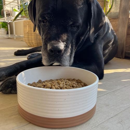 Mora Ceramic Pet Bowl - Large Food/Water Dish for Large Dogs, Cats, Great Dane, Mastiff - 50oz or 8 Cups - Basic Bowls - Vanilla White - Image 6