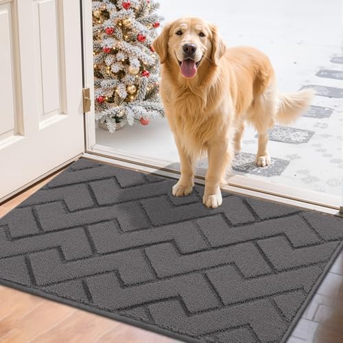 Biscpro Tapis de Porte Paillasson 60x90cm Interieur et Extérieur Antidérapant Absorbant, Facile à Nettoyer, Chambre, Cuisine, Couloir -Gris