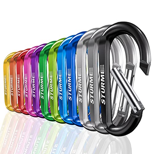 3' Aluminum D Ring Carabiners Clip D Shape Spring Loaded Gate Small Keychain Carabiner Clip Set for Outdoor Camping Mini Lock Snap Hooks Spring Link Key Chain Durable Improved 12 PCS (Assorted)