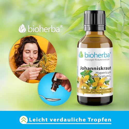 Johanniskraut Tropfen, Tinktur 50 ml – Hochdosierter Extrakt mit Vitamin B6 für Nervensystem, Homocystein-Stoffwechsel & Bildung roter Blutkörperchen von BIOHERBA PZN 17187391