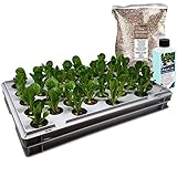 hydroponic system kaufen Stabiles Qualitätsprodukt, für viele Jahre einsetzbar. Wasserreservoir und Abdeckung aus Polypropylen (PP), lebensmittelgeeignet, ohne Weichmacher. Made in Germany.
