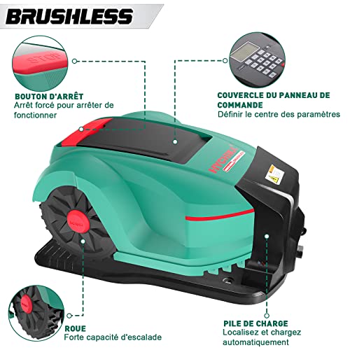 product-details