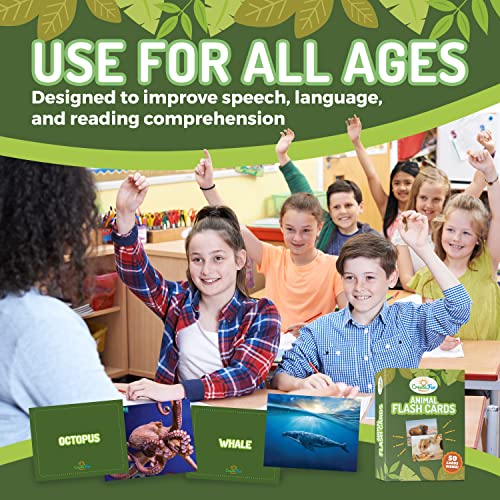 Animal Flash Cards - 50 Educational Flashcards For Children And Adults - Fun Vocabulary Builder Flash Cards For Speech Therapy, Esl, Occupational Therapy, And More #TOP5