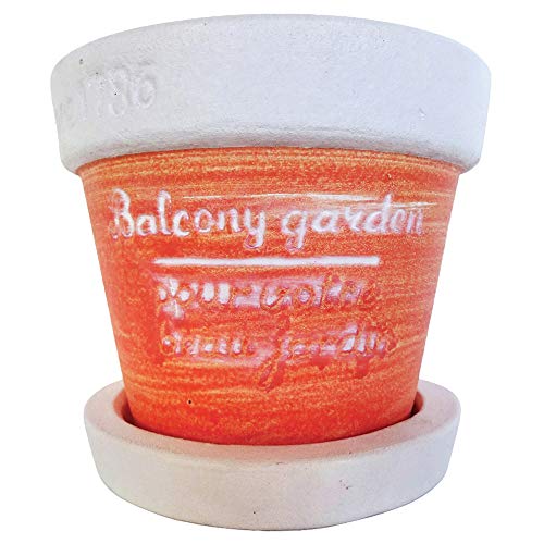 Vn |bg oRj[K[f J[Ehoh|bg M IW